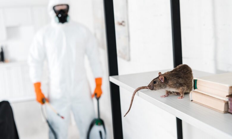 Complete Guide to Exterminators