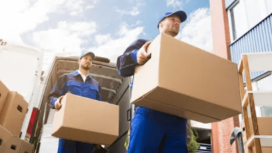 Top 5 Reasons to Appoint Professional Movers