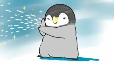 Anime:77ddsm9bsp0= Cute:77ddsm9bsp0= Penguin