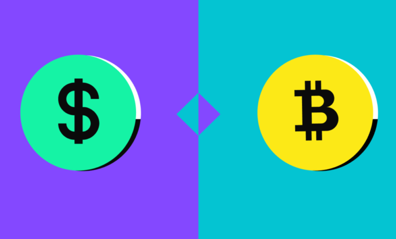 Bitcoin's Value in Relation to the US Dollar