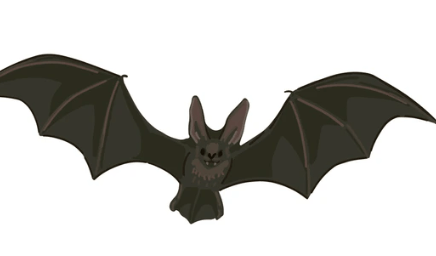 Clipart:Elapzvbicei= Bat