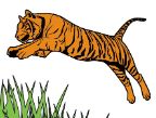 Clipart:Jmjk9np8ik4= Tiger