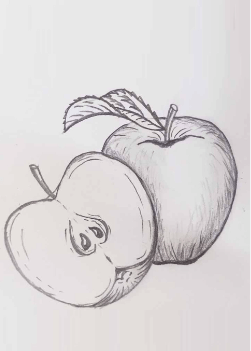 Drawing:Rsnvrhjyu9y= Apple