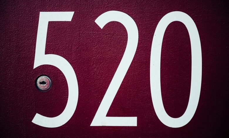 entry 3270686080 significance explained