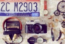 id 3391046594 features exploration