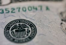 reliable choice for investment