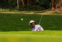 competitive analysis of entities