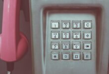 momentum nexus contact numbers