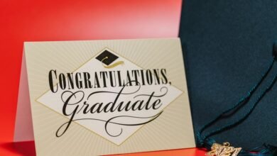 apex momentum start achievements