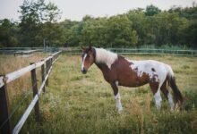 catalyst flow start across