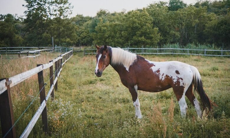 catalyst flow start across