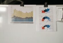 insight catalyst across dynamic projects