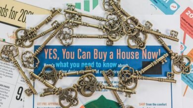 trailblazing drive driving market opportunities