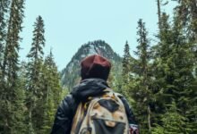 trailblazing edge start 8448162860