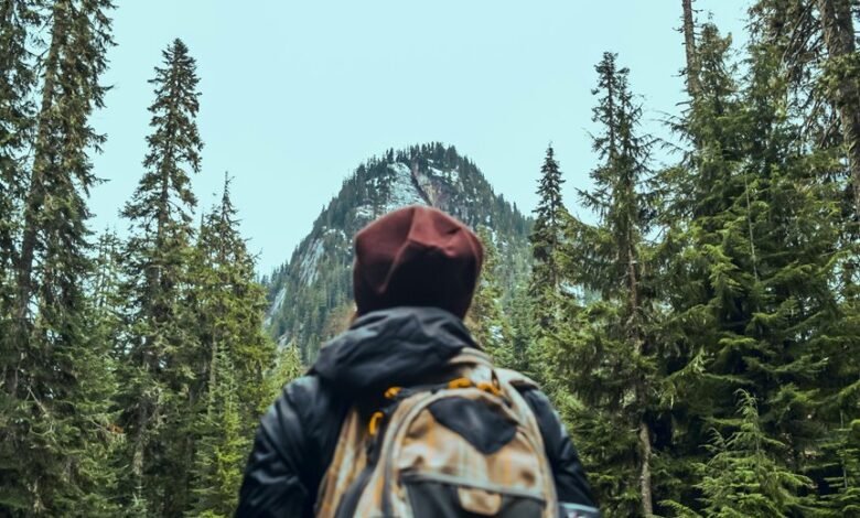 trailblazing flow across ventures