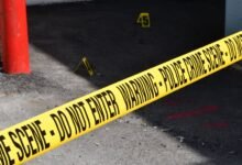 registry entries investigation numbers 3391824514 3668914317 3458058034 3511408991 3294270204
