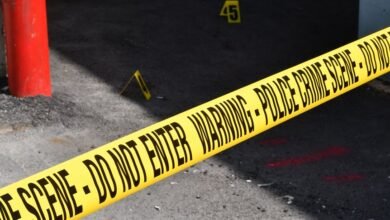 registry entries investigation numbers 3391824514 3668914317 3458058034 3511408991 3294270204
