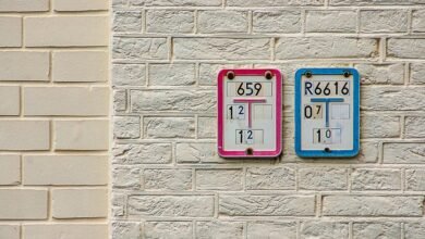 registry ids and details listed