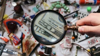 registry lookup findings for specific ids
