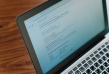 registry search results specific ids listed