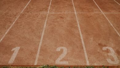 track public numbers registry